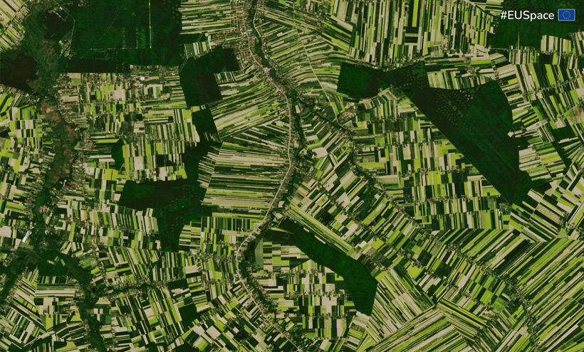 Blossoming rapeseed fields in Lublin, Poland captured by Copernicus Sentinel-2 imagery Blossoming rapeseed fields in Lublin, Poland