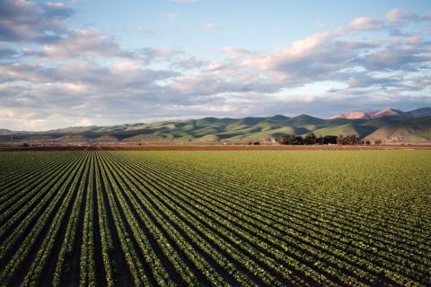 Precision agriculture products and solutions using EGNOS Precision agriculture products and solutions using EGNOS
